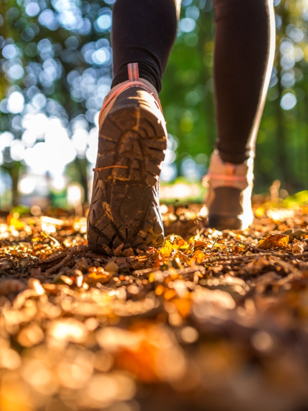 Escursioni in bici sull’Etna